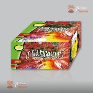 Feu d'artifice Flamboyant - batterie 100 départs La Réunion Vidéo démonstration feu d'artifice Flamboyant